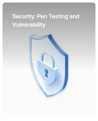 Hosting NxtGen Service, Security: Pen Testing and Vulnerability